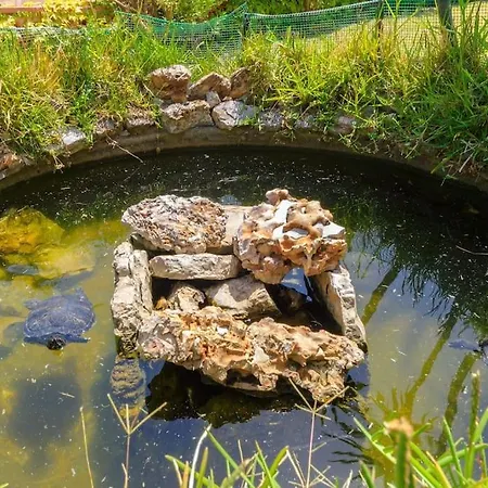 Sonia Riserva Naturale Dello Zingaro Villa